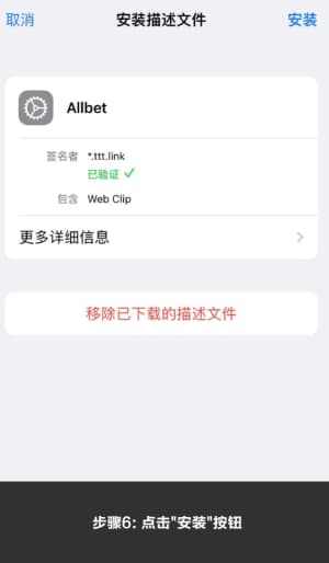 欧博iOS应用安装与部署全流程操作图示6
