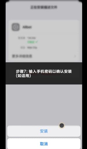 欧博iOS应用安装与部署全流程操作图示7